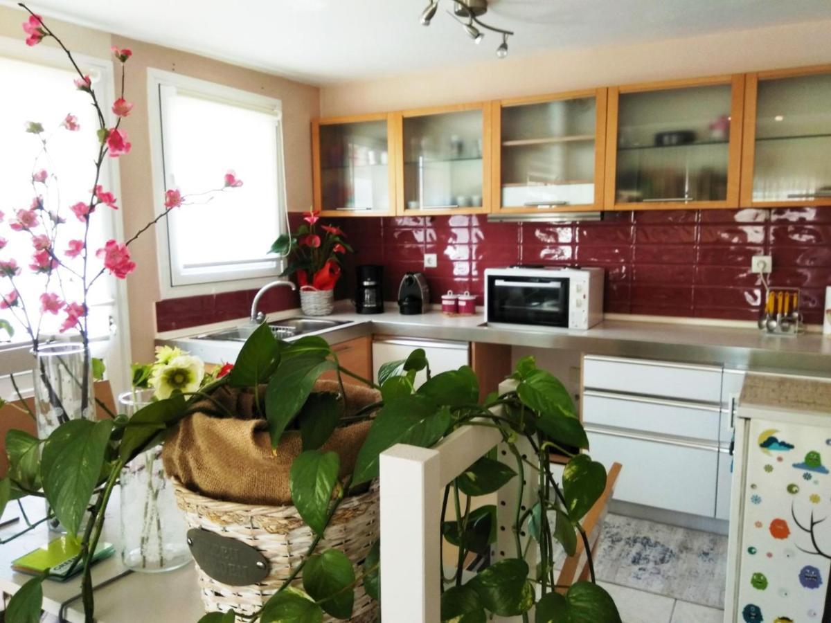 Ferienwohnung Brilliant House Volos Exterior foto