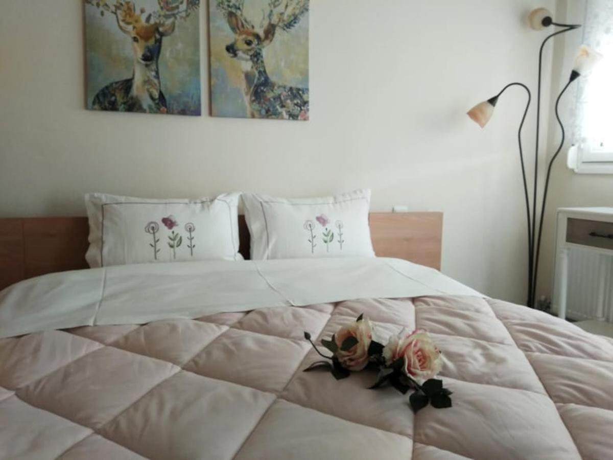 Ferienwohnung Brilliant House Volos Exterior foto